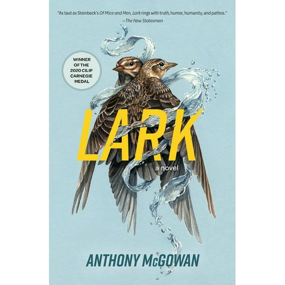 Everyone Can Be a Reader (Hard Truths) Lark, Book 4, (Paperback)