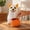 Multicolor-C, variant on Easter Clearance! FYHALE 8" Gold Bunny Statue, Spring Rabbits Decoration Home Table Centerpiece, Rabbit Figurines Decorative Sculpture Collectibles Easter Gift