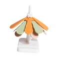 thumbnail image 1 of Tree Coasters with Holder Foldable Hot Pot Holders for Hot Dishes Bowls Home, 1 of 5