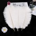 thumbnail image 4 of Craft Feathers THARAHT Avestruz, 24 unidades, 25-30 cm, color blanco, 4 of 7