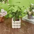 thumbnail image 4 of 20Pcs Acrylic Plant Labels Transparent Round Blank Plant Tags DIY for Marking Waterproof Reusable Plant Sign Blanks Name Plate DIY for Plants Garden Decoration 3.5x1.5 inches, 4 of 5