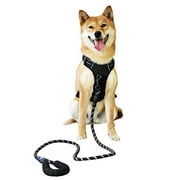 Raining Pet Medium Dog Harness Dog Leash Set,Dog Halter Comfortable Dog Padded Harness