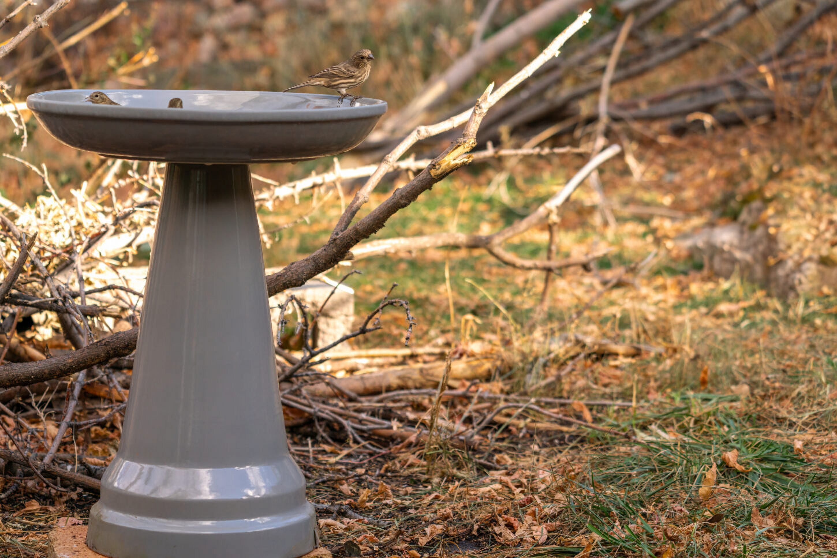 Birds Choice Ohio Stoneware Weather Resistant Ceramic Clay Pedestal Bird Bath, 22"H x 17"D, Gray