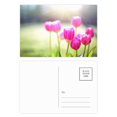 thumbnail image 1 of Beautiful Sunshine Flowers Red Green Postcard Set Birthday Mailing Thanks Greeting Card, 1 of 3