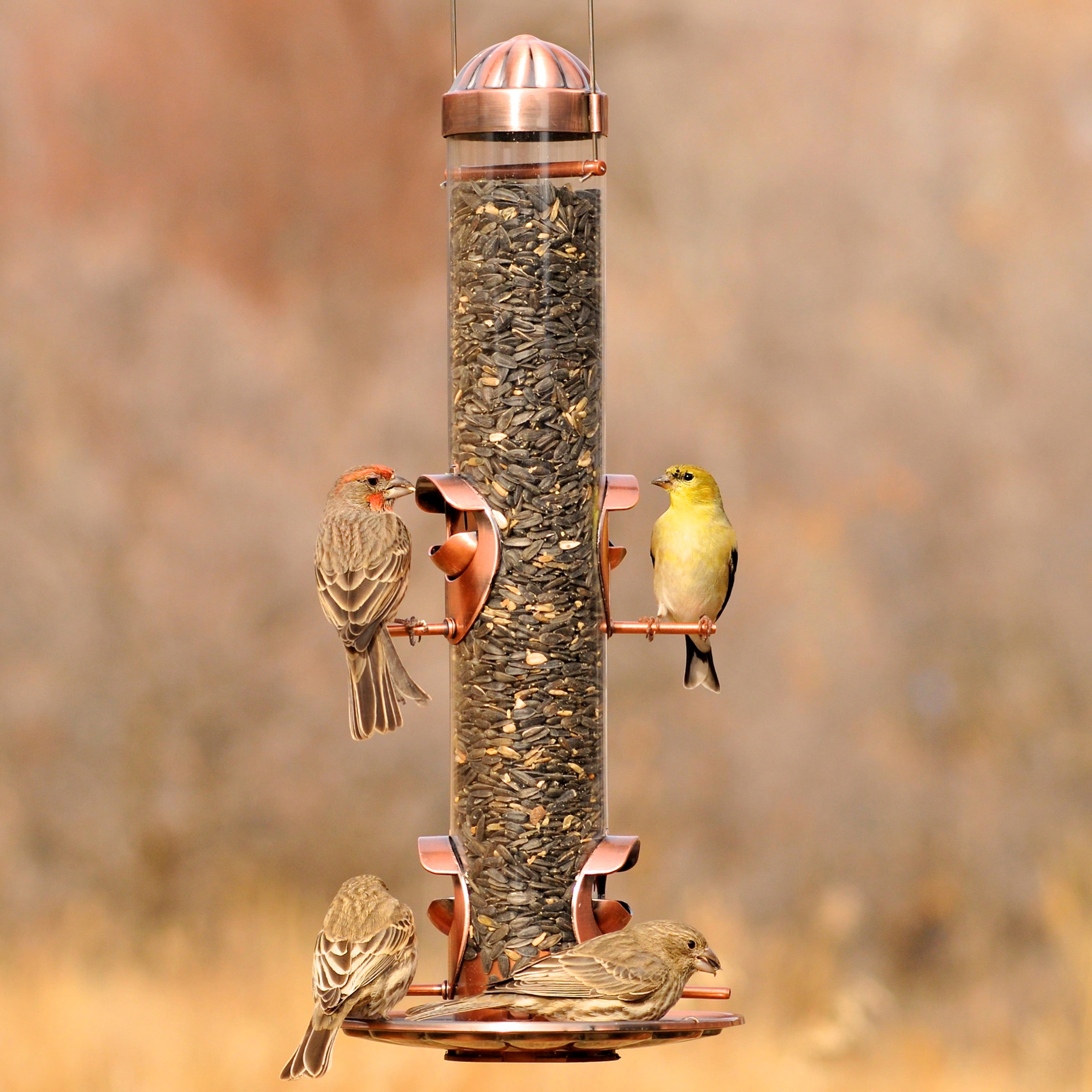 Perky Pet 2 In 1 Wild Bird Feeder Walmart Com