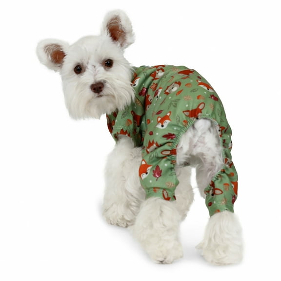 Vibrant Life Halloween Pajamas for Dogs & Cats, Fall Fox, Green, Extra Small