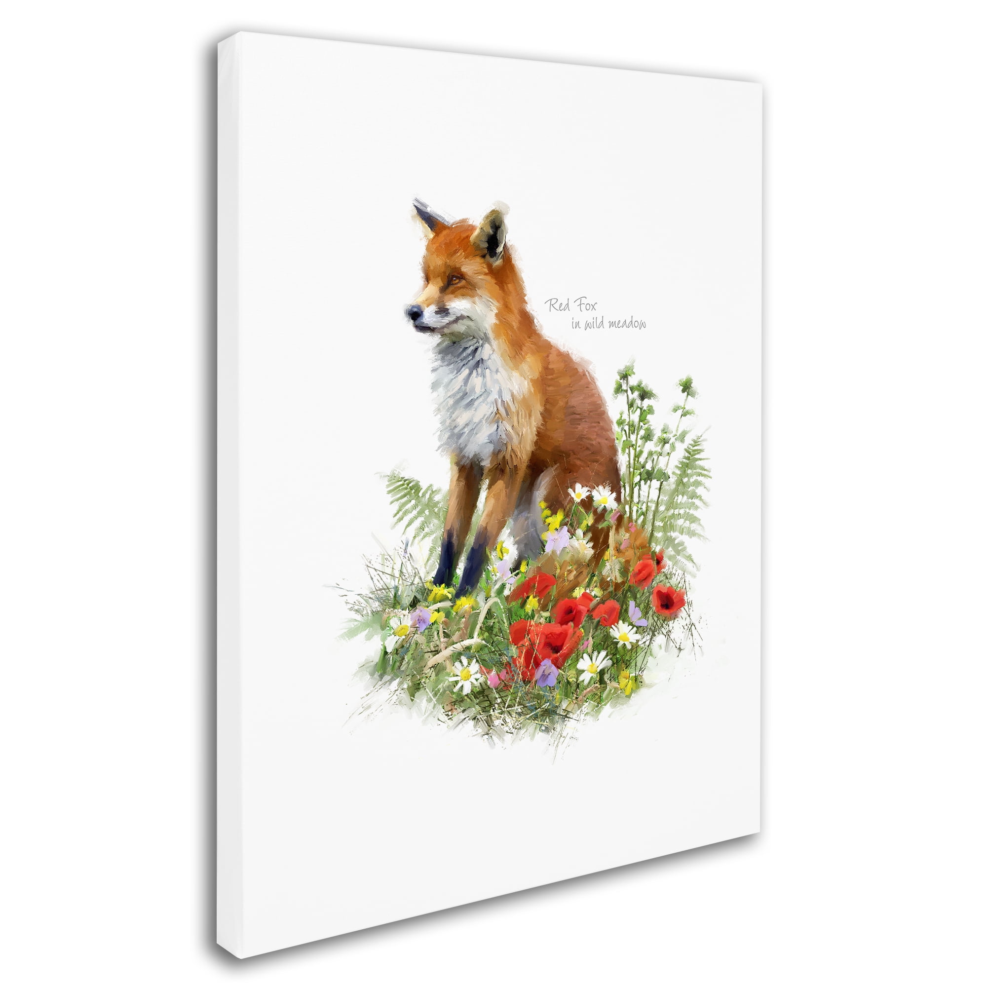 Trademark Fine Art 'Fox II' Canvas Art by The Macneil Studio
