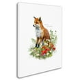 thumbnail image 2 of Trademark Fine Art 'Fox II' Canvas Art by The Macneil Studio, 2 of 3
