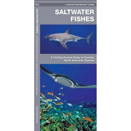 - North American Nature Guides: Saltwater Fishes: A Folding Pocket Guide to Familiar North American Species (Other)