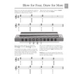 Harmonica: The Complete Picture Guide to Playing Harmonica - Walmart.com