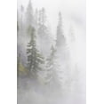 thumbnail image 2 of Paulson, Don 13x18 Black Ornate Wood Framed with Double Matting Museum Art Print Titled - WA, Mt Baker Wilderness, Dense fog blanket, 2 of 4