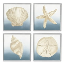 Maritime Seashells Ocean Beach Life Animals & Insects Graphic Art Gray Framed Art Print Wall Art, Set of 4