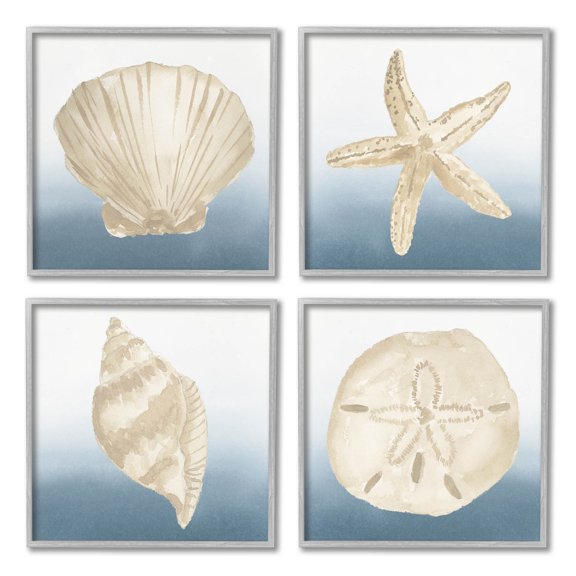 Maritime Seashells Ocean Beach Life Animals & Insects Graphic Art Gray Framed Art Print Wall Art, Set of 4