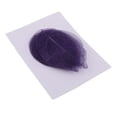 thumbnail image 1 of segolike 20 Packs Real Pressed Dried Flowers for Art Craft Scrapbooking, 1 of 9
