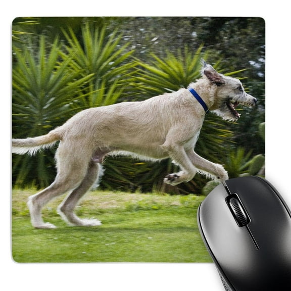 3dRose, An Irish Wolfhound dog running in a park - NA02 ZMU0109 - Zandria Muench Beraldo, MousePad