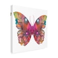 thumbnail image 2 of Trademark Fine Art 'Abstract I Butterfly' Canvas Art by Dean Russo, 2 of 3