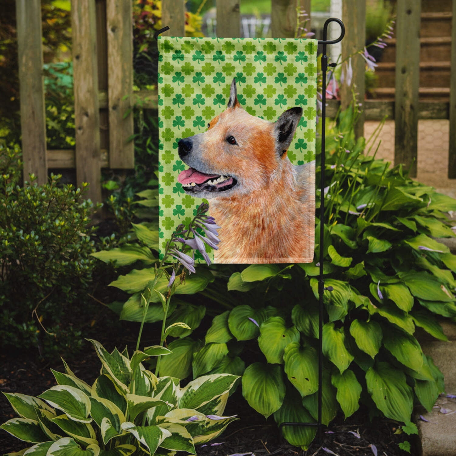 Carolines Treasures LH9182-FLAG-PARENT Australian Cattle Dog St. Patricks Day Shamrock Flag  multicolor