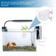 thumbnail image 3 of AURARMLET Maceta Transparente Con Ventosa Para Plantas En De Peces Y, 3 of 8