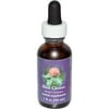(2 Pack) Flower Essence Services Scotch Broom Dropper 1 Ounce