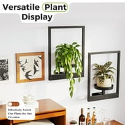 Occolia Studio Plant Stand Indoor Wall Decor Metal Plant Hanger Indoor Hanging Plant Holder Wall-Mounted Planters Outdoor Plant Rack Black 2 Pack (Patent Design)