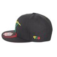 thumbnail image 2 of The Doctor Bird - Jamaica - The Cap Guys TCG / Inspired Exclusives Rasta Edition Snapback, 2 of 5