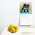 thumbnail image 4 of Adorable Puppies | 2024 12x24" (Hanging) Square Wall Calendar | StarGifts, 4 of 9