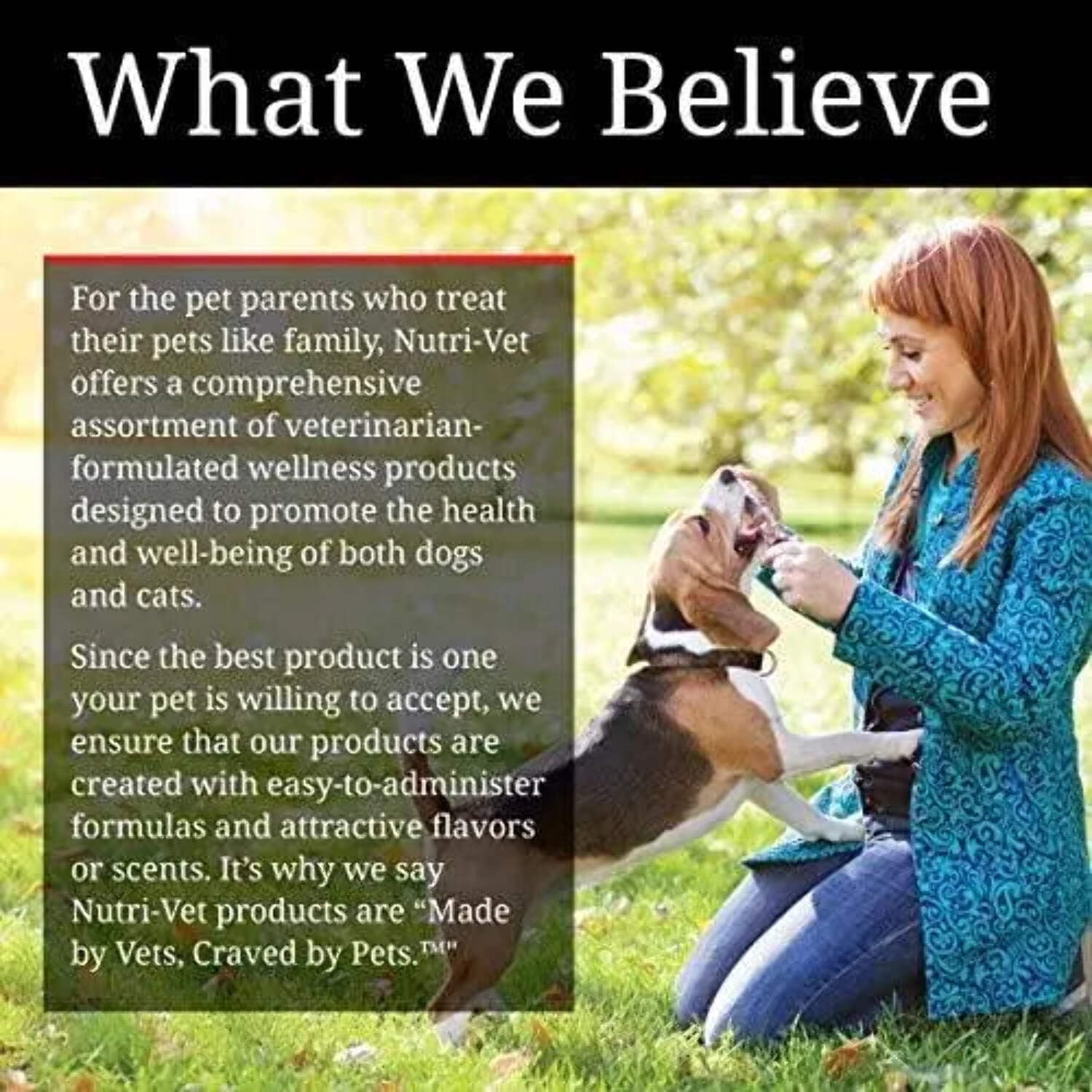 Nutri vet bitter bandage hotsell