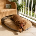 thumbnail image 5 of Washable Dog Bed for Small Dogs and Cats with Removable Cover, Reversible Cozy Plush Pet Bed Cushion Mat, Gray & Khaki, 5 of 5
