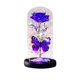 thumbnail image 2 of CaiYueKe LED Rose Night Light with Butterflies Glass Dome Preserved Flower Romantic Gift for Women Valentine's Day Birthday Christmas Home Decor, 2 of 8