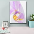 thumbnail image 4 of Epic Graffiti 'Phalaenopsis Orchid' by Pamela Plummer, Canvas Wall Art, 12"x16", 4 of 8