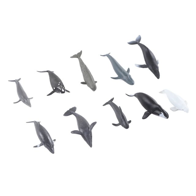 Whale Model Whale Sculpture Vivid Details Light Weight 10Pcs Delicate for Home ANGGREK Otros