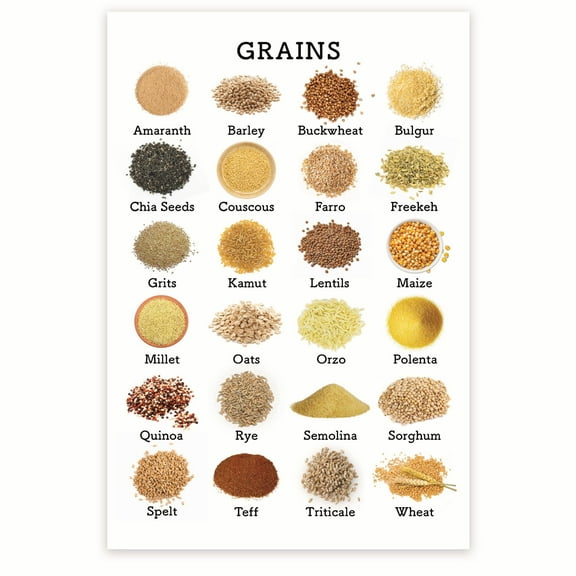 Bliss Monkey Co. Grains Products Chart - Healthy Eating Nutrition - Grain Food Groups - Grain Food Facts - Food Pyramid 12 x 18 Inch Poster - Unframed - Premium 100lb Gloss - Made In USA - BMCP0468