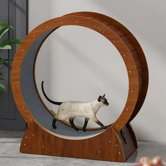 Rueda para correr para gatos perfecl con mecanismo de bloqueo para gatos grandes 68cm