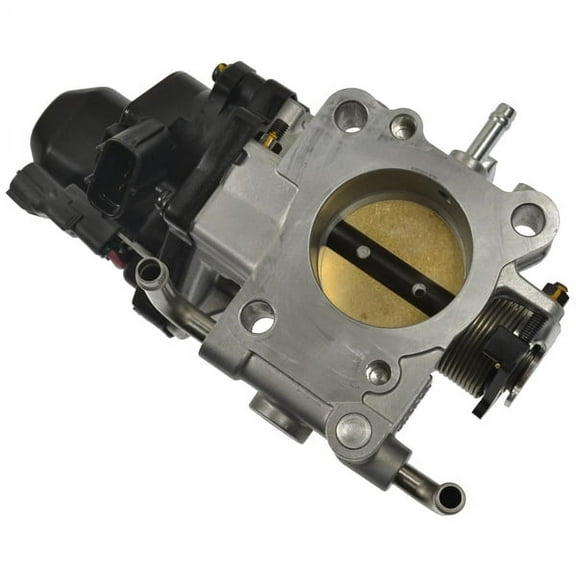 Fuel Injection Throttle Body