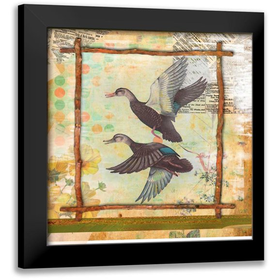 Robertson, Walter 12x12 Black Modern Framed Museum Art Print Titled - Duck Nature