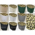 thumbnail image 3 of Canvas Lemon Blossoms Food Processor Cover by Penny's Needful Things (Gray, Small), 3 of 3