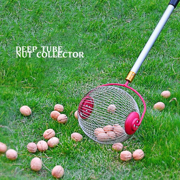 Nut gatherer sale