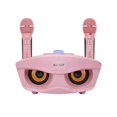 thumbnail image 1 of Portable Rechargeable Wireless Karaoke Speaker 3D Stereo Bluetooth Speaker with Wireless Microphone Set, 1 of 8