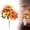 N, variant on Clearance Under $1! 1PC Artificial Fall Bouquet, Halloween Pumpkin & Sunflower Floral Arrangement for Table Centerpiece, Plastic, (One Size, N)