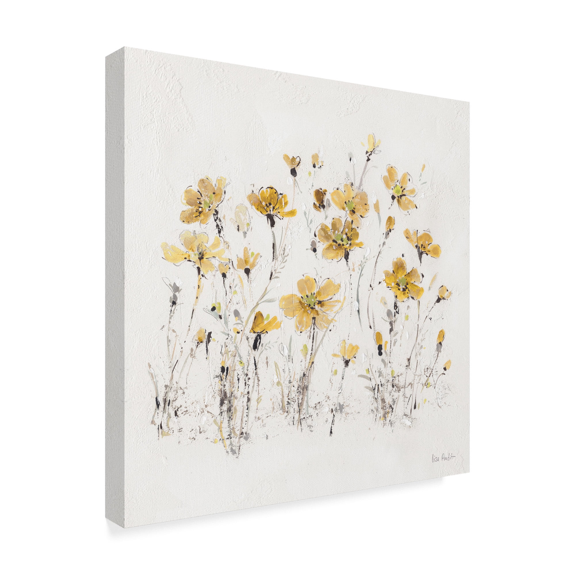 Trademark Fine Art 'Wildflowers III Yellow on White' Canvas Art by Lisa Audit