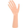 thumbnail image 1 of 1pc Plastic Hand Model Display Rack Bracelet Showing Holder Jewelry Storage Prop, 1 of 9