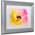 thumbnail image 2 of Trademark Fine Art "Poppy Gradient II" Canvas Art by Color Bakery White Matte, Silver Frame, 2 of 4
