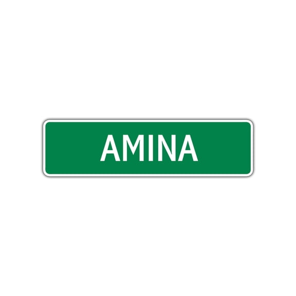 Amina Girls Children Name Letter Printed Label Indoor Outdoor Wall Plaque Decoration Aluminum Metal Sign 4"x13.5"