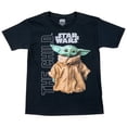 thumbnail image 1 of Star Wars The Mandalorian The Child Character Kids T-Shirt-XSmall (4-5), 1 of 1