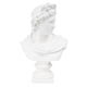 thumbnail image 2 of 11,6 pulgadas clásico griego dios del poesía cabeza busto estatua escultura romana figurita para decoración y colección SM SunniMix Figura de mitología griega, 2 of 6