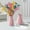 Pink PK, variant on Latrodar Ceramic Vase Plastic Vase Living Room Decoration Vase Hydroponic Vase Decoration Household Items for New Apartment Pink Ceramics up to 65% Off