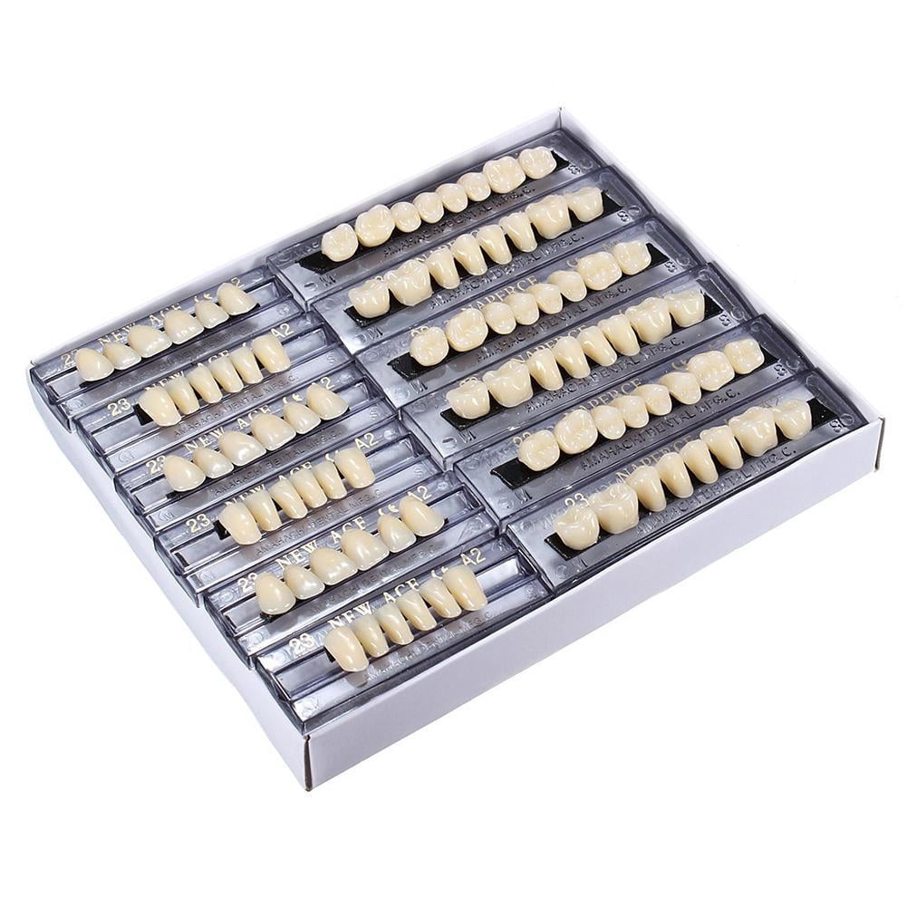 PESSLOK 168pcs Dental Acrylic Resin Denture Multi-colored Synthetic Teeth False R0D^HOT