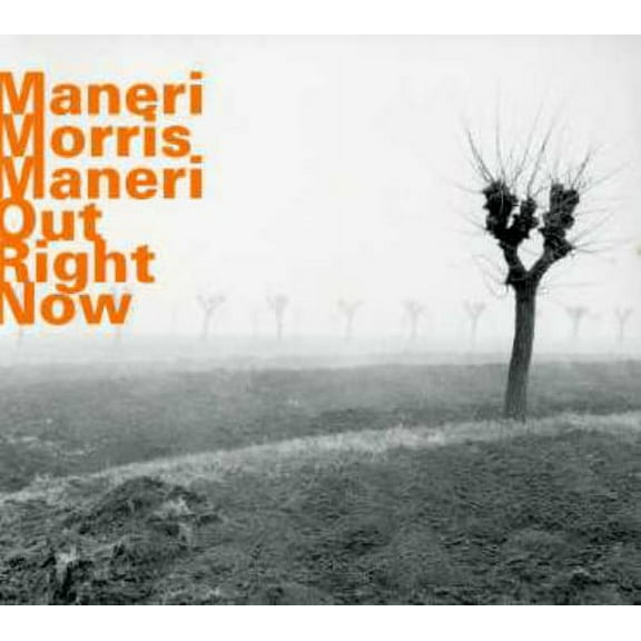 Joe Maneri - Out Right Now - Music & Performance - CD