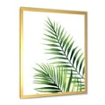 thumbnail image 2 of Designart 'Fern Plant Leaves Detail III' Farmhouse Framed Art Print, 2 of 4