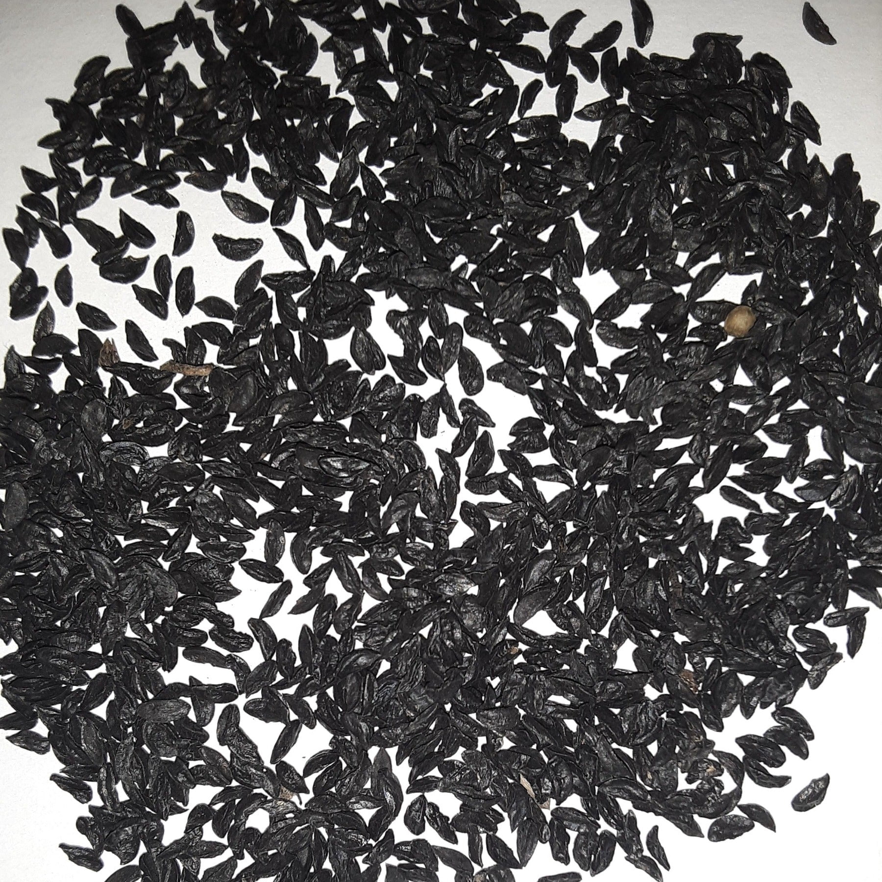 Papaws Garden Chive Seeds - Thumbnail 3